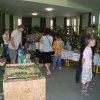 2011 Állatok Világnapja