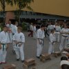 majus_15_19