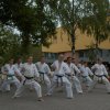 majus_15_23