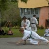 majus_15_27