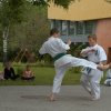 majus_15_28